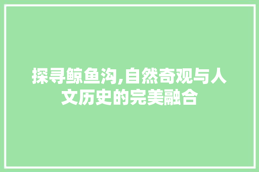 探寻鲸鱼沟,自然奇观与人文历史的完美融合