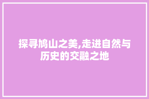 探寻鸠山之美,走进自然与历史的交融之地