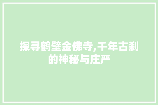 探寻鹤壁金佛寺,千年古刹的神秘与庄严