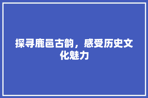 探寻鹿邑古韵，感受历史文化魅力