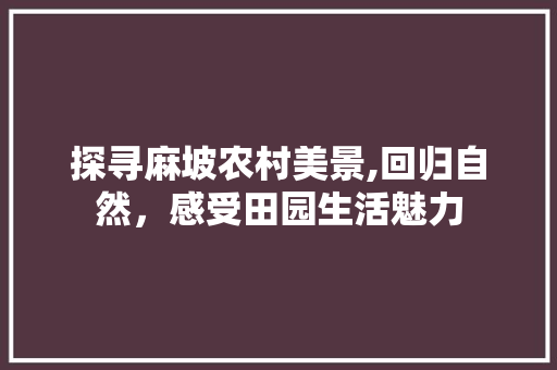 探寻麻坡农村美景,回归自然，感受田园生活魅力