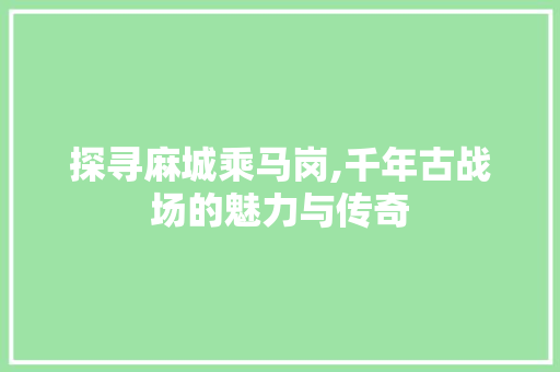 探寻麻城乘马岗,千年古战场的魅力与传奇