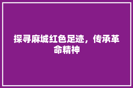 探寻麻城红色足迹，传承革命精神