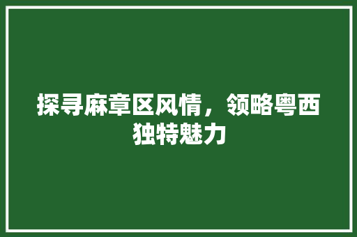 探寻麻章区风情，领略粤西独特魅力