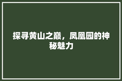 探寻黄山之巅，凤凰园的神秘魅力