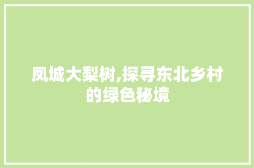 凤城大梨树,探寻东北乡村的绿色秘境  第1张