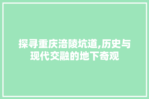 探寻重庆涪陵坑道,历史与现代交融的地下奇观