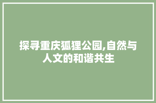 探寻重庆狐狸公园,自然与人文的和谐共生