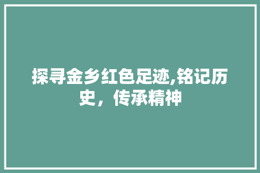 探寻金乡红色足迹,铭记历史，传承精神