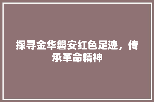 探寻金华磐安红色足迹，传承革命精神