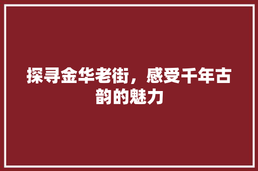 探寻金华老街，感受千年古韵的魅力