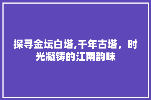 探寻金坛白塔,千年古塔，时光凝铸的江南韵味