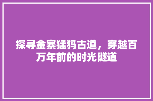 探寻金寨猛犸古道，穿越百万年前的时光隧道