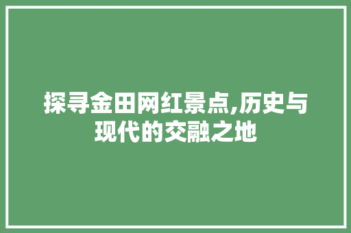 探寻金田网红景点,历史与现代的交融之地