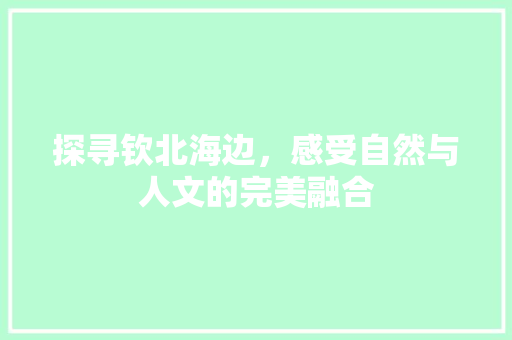 探寻钦北海边，感受自然与人文的完美融合