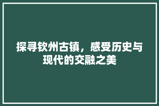 探寻钦州古镇，感受历史与现代的交融之美