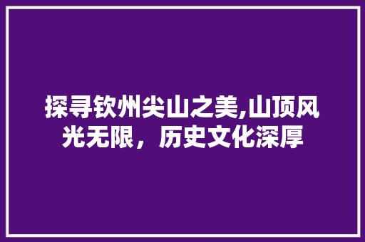 探寻钦州尖山之美,山顶风光无限，历史文化深厚