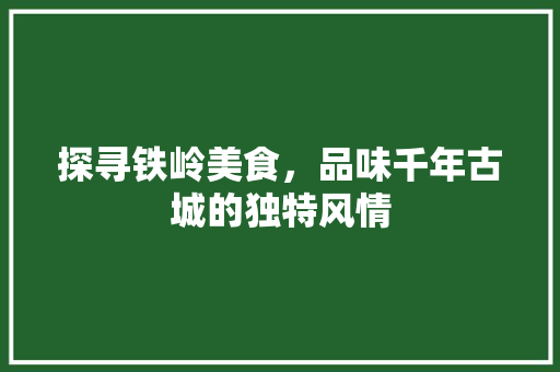 探寻铁岭美食，品味千年古城的独特风情