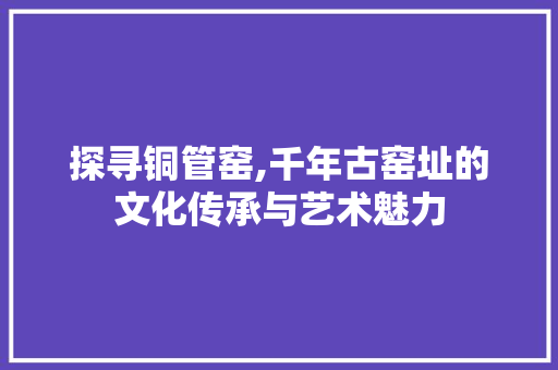 探寻铜管窑,千年古窑址的文化传承与艺术魅力