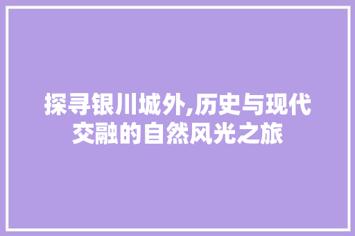 探寻银川城外,历史与现代交融的自然风光之旅