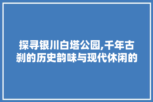 探寻银川白塔公园,千年古刹的历史韵味与现代休闲的完美融合