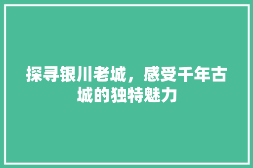 探寻银川老城，感受千年古城的独特魅力