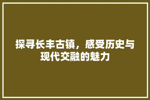 探寻长丰古镇，感受历史与现代交融的魅力