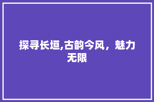 探寻长垣,古韵今风，魅力无限