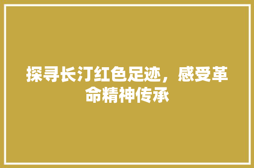 探寻长汀红色足迹，感受革命精神传承