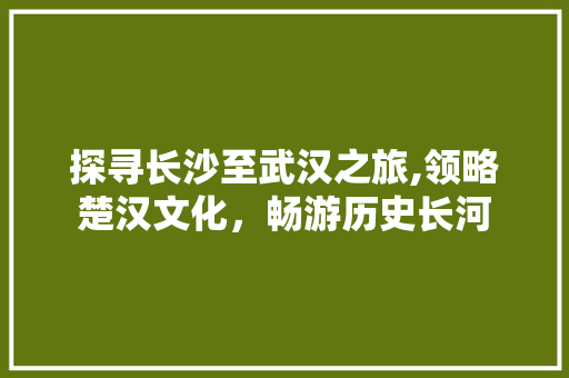 探寻长沙至武汉之旅,领略楚汉文化，畅游历史长河