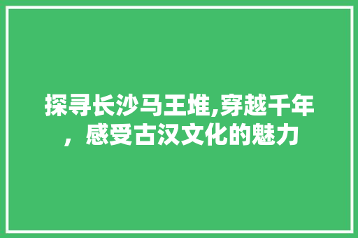 探寻长沙马王堆,穿越千年，感受古汉文化的魅力