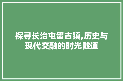 探寻长治屯留古镇,历史与现代交融的时光隧道