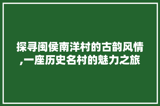 探寻闽侯南洋村的古韵风情,一座历史名村的魅力之旅