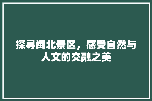 探寻闽北景区，感受自然与人文的交融之美