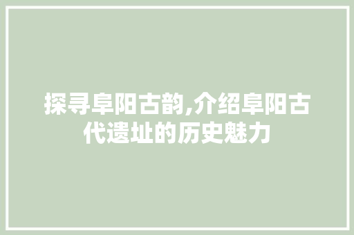 探寻阜阳古韵,介绍阜阳古代遗址的历史魅力