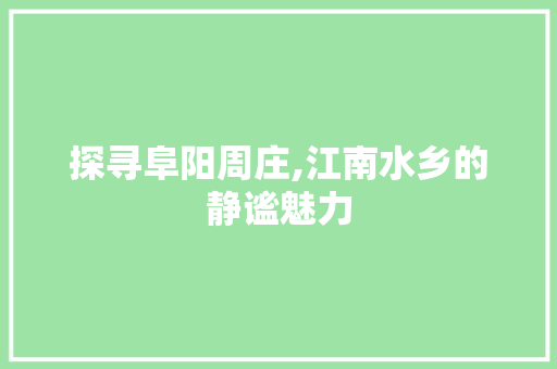 探寻阜阳周庄,江南水乡的静谧魅力