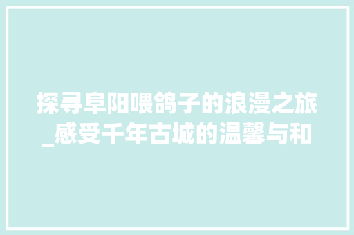 探寻阜阳喂鸽子的浪漫之旅_感受千年古城的温馨与和谐