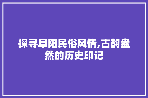 探寻阜阳民俗风情,古韵盎然的历史印记