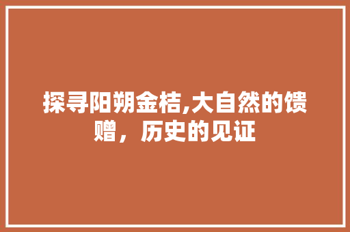 探寻阳朔金桔,大自然的馈赠，历史的见证