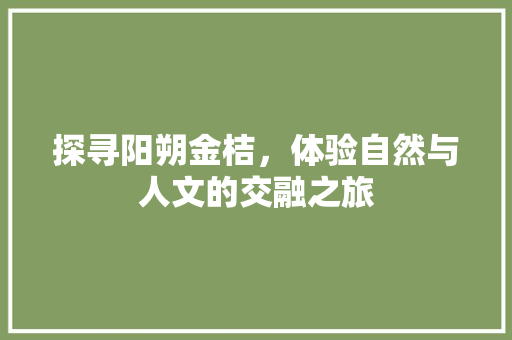 探寻阳朔金桔，体验自然与人文的交融之旅