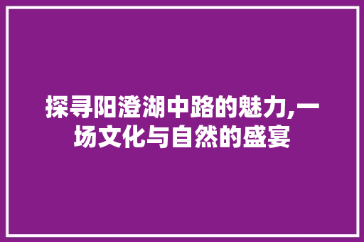 探寻阳澄湖中路的魅力,一场文化与自然的盛宴