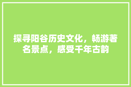 探寻阳谷历史文化，畅游著名景点，感受千年古韵