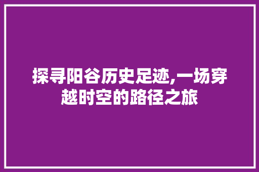 探寻阳谷历史足迹,一场穿越时空的路径之旅