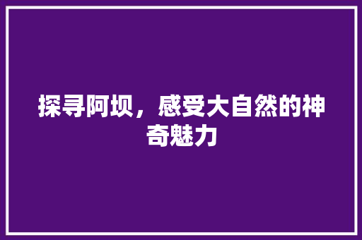 探寻阿坝，感受大自然的神奇魅力