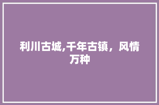 利川古城,千年古镇，风情万种  第1张