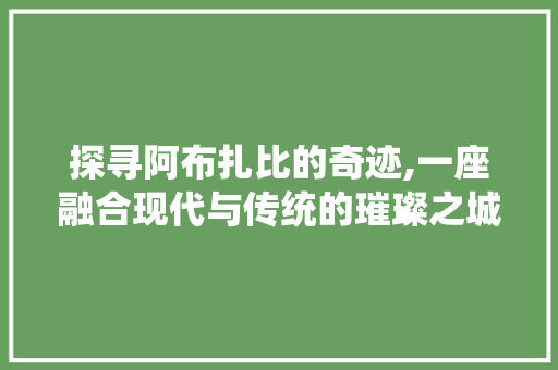 探寻阿布扎比的奇迹,一座融合现代与传统的璀璨之城  第1张