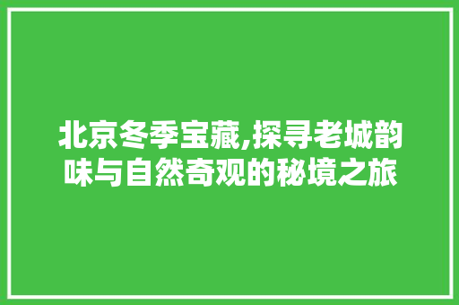 北京冬季宝藏,探寻老城韵味与自然奇观的秘境之旅  第1张