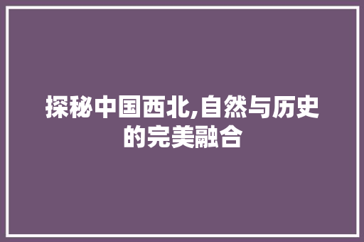 探秘中国西北,自然与历史的完美融合