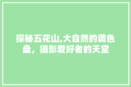 探秘五花山,大自然的调色盘，摄影爱好者的天堂