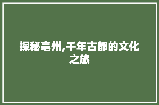 探秘亳州,千年古都的文化之旅